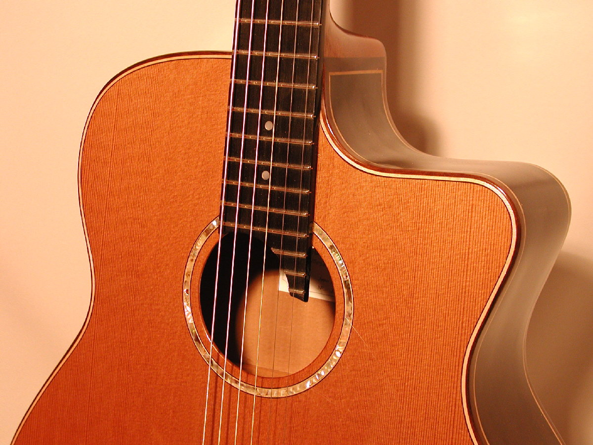 The Hashimoto guitar Cedar top 